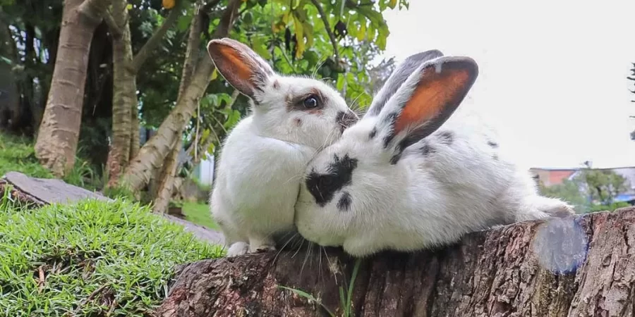 Naturaleza y medioambiente